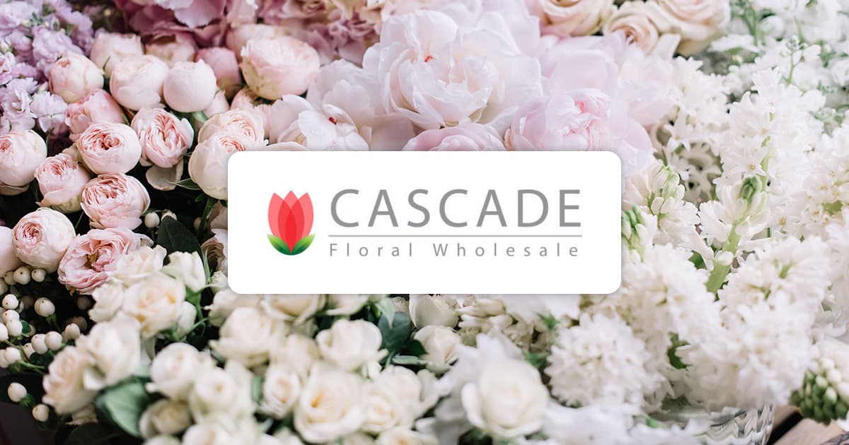 CARNATION ORANGE - Wholesale Bulk Flowers - Cascade Floral
